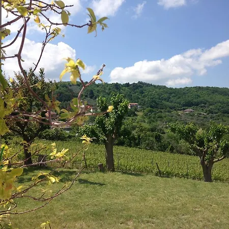 Bed&wine Rocco Zambri
